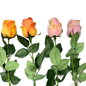BOCCIOLO DI ROSA